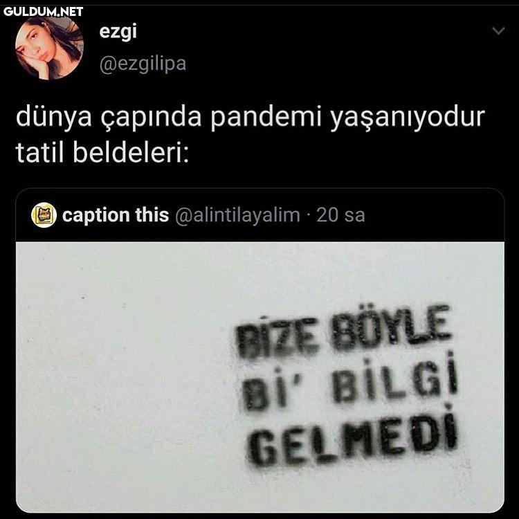 True post ezgi @ezgilipa...