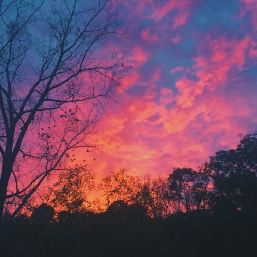 artpricot: the sunset was violently sudden &amp; spectacular tonight. these pictures were taken 