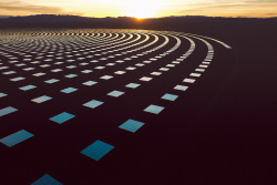 itscolossal:  A Sea of Glistening Solar Panels