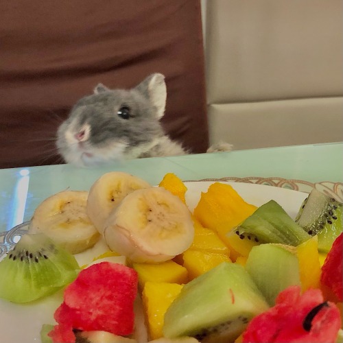 Trying To Steal Some Fruit