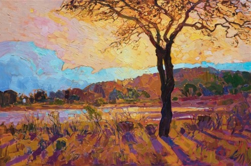 Art by Erin Hanson1. Haystack Coast2. Highway 13. Hill Country Dawns4. Hilltop Pine5. Joshua Aflame6