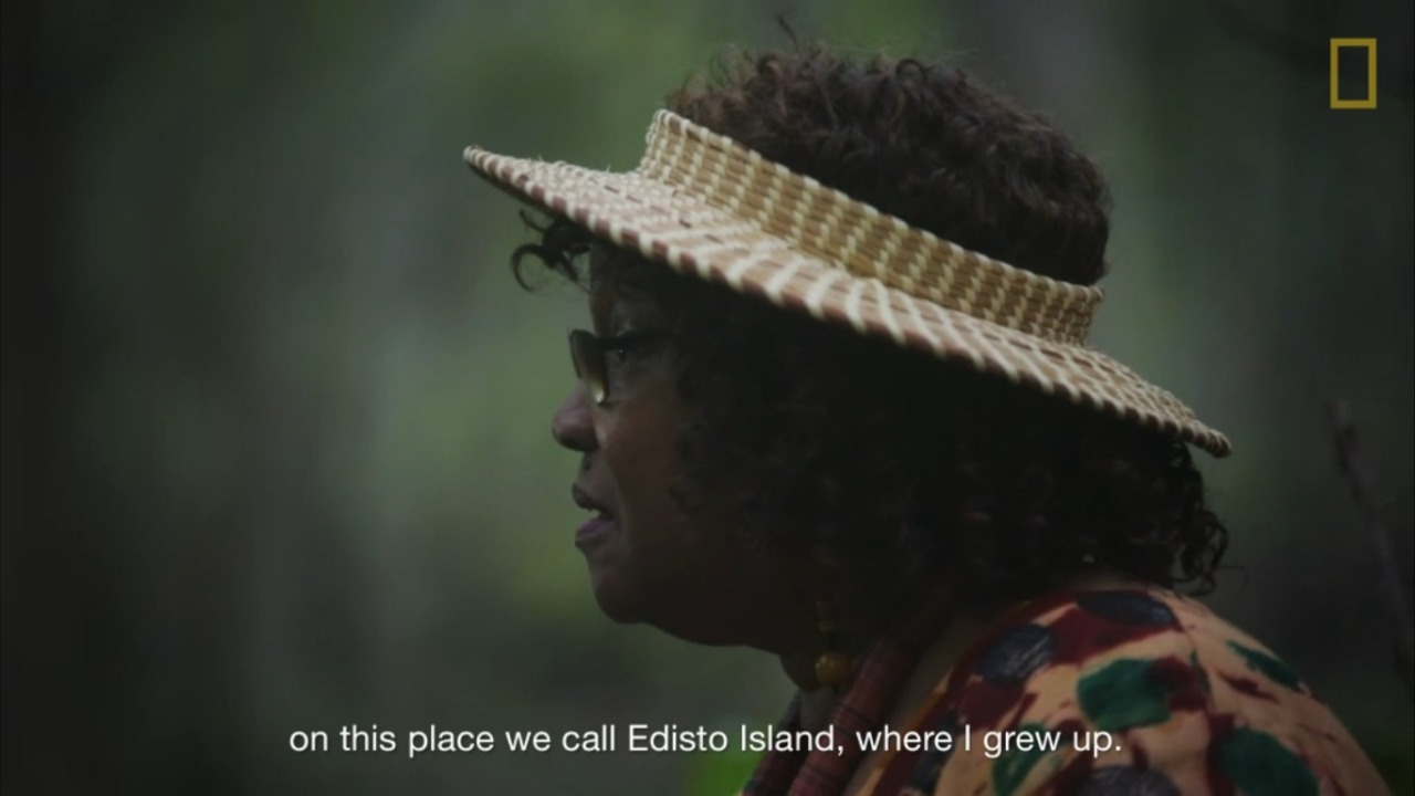 dynamicafrica:  Gullah Storyteller and Historian Theresa Jenkins Hilliard Speaks