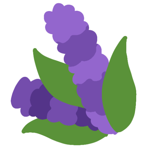 DISCORD FLOWERS!