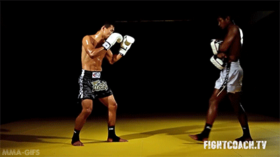 mma-gifs:  Technique of the Week: Muay Thai Front KickThe front kick (“teep”)