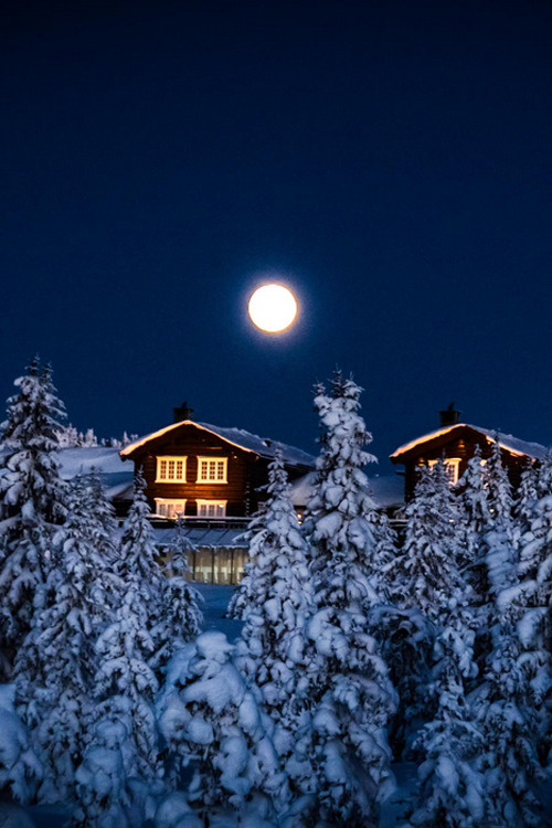 New Year Postcard ~ By Jørn Allan Pedersen