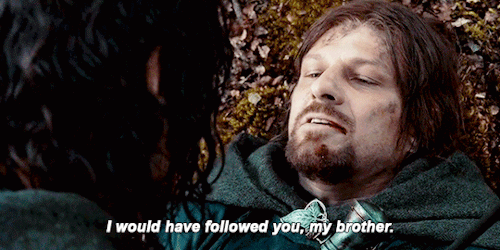 LORD OF THE RINGS: FELLOWSHIP OF THE RING