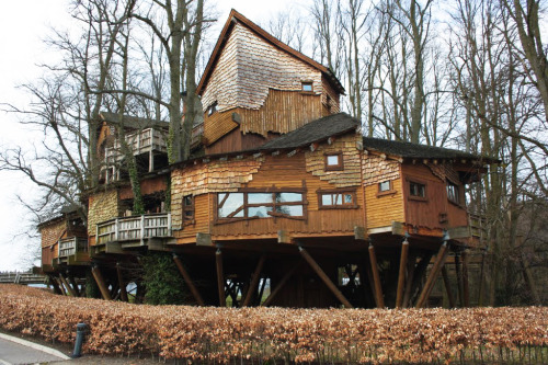 XXX treehauslove:   Alnwick Garden Tree House. The photo