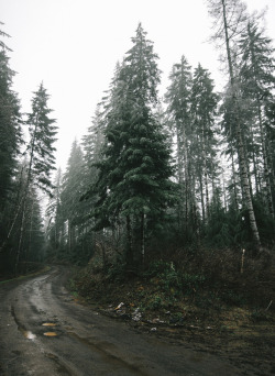 moody-nature:  Suislaw NF | By Graham Spencer