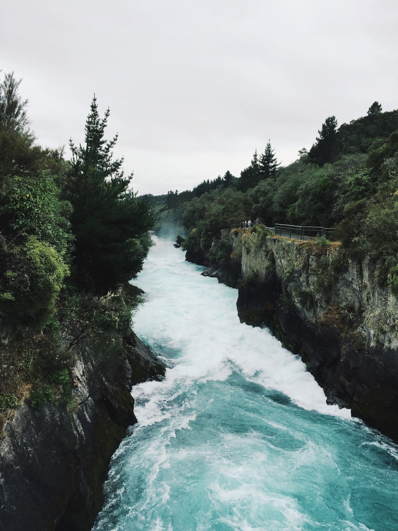 vhord:  eartheld:  x  strictly nature