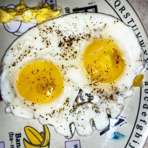 robert-insane-l:  Yay #skull #egg #happy
