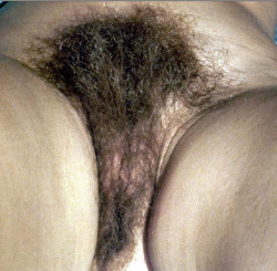 hairywives:  my wifes hairy pussy