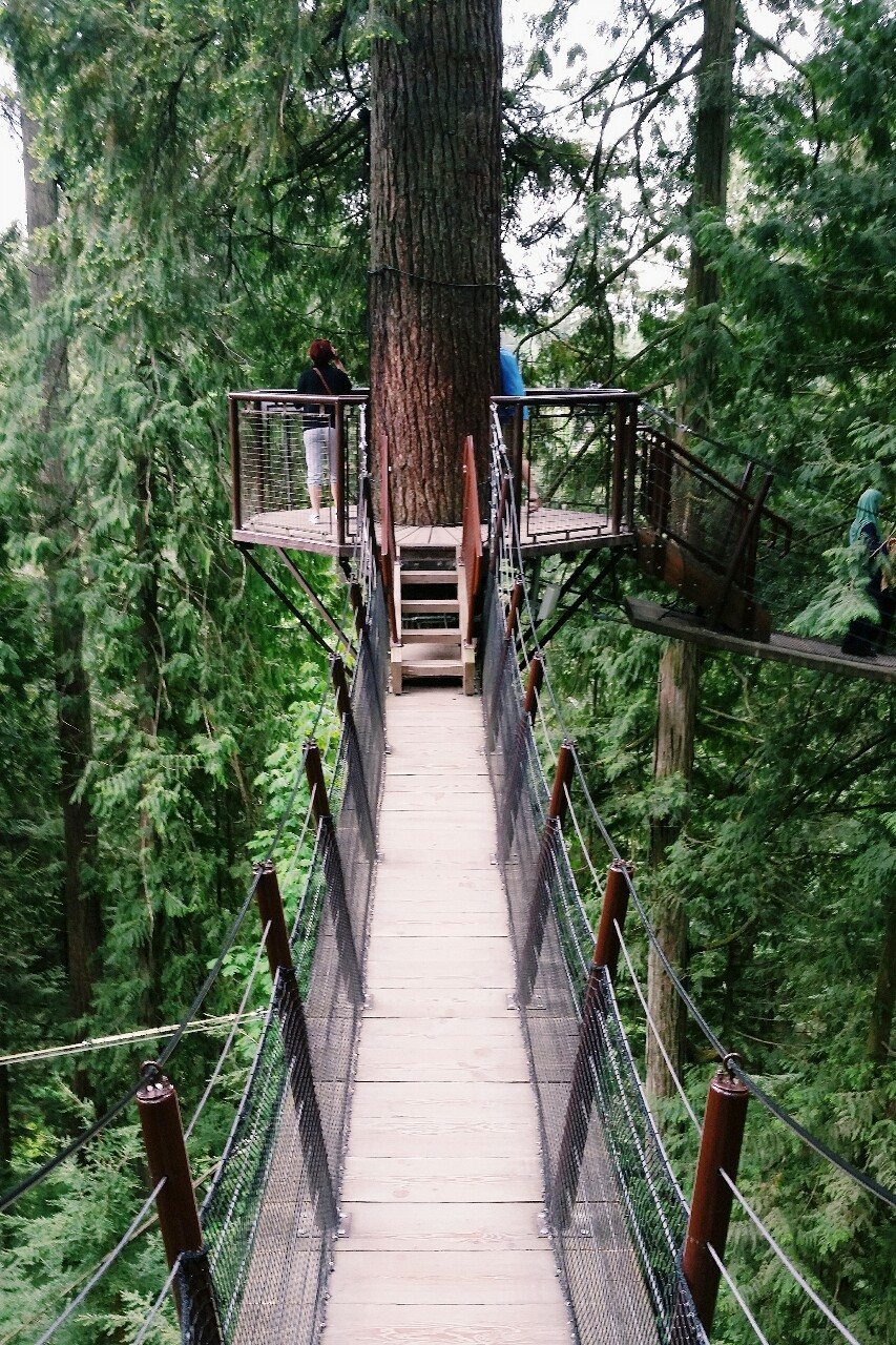 open-minded-teen:  Capilano Suspension Bridge Park, North Vancouver, British Columbia,