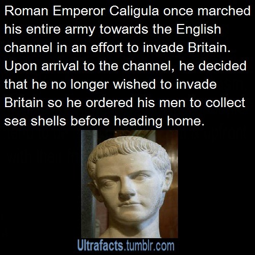 misandry-mermaid:  haiweewicci:  ultrafacts:  Entire compilation of Roman Emperor facts Sources: 1 2 3 4 5 6 7 8 9 10Follow Ultrafacts for more facts  That fourteen year old emperor was Elagabalus.  You should really say her name, because she was an