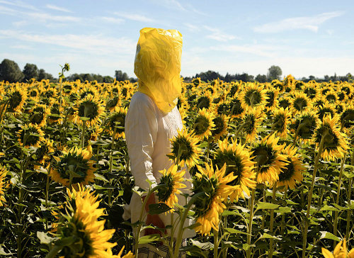 Elina Brotherus   (FL, 1972) Portrait Series (Gelbe Musik with Sunflowers), 2016. After John Baldess