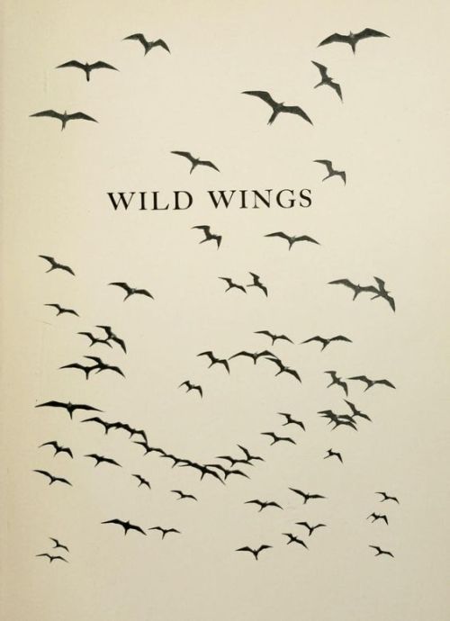 nemfrog:Wild wings. 1905. Title page. 