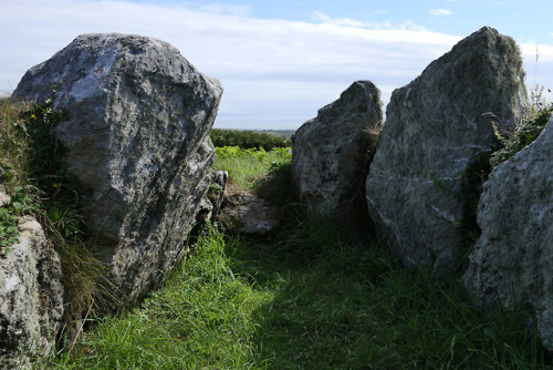 Prehistoric Hut Circles, South Stack, nr. Holyhead, Anglesey, 14.8.18.A series of roundhouse foundat