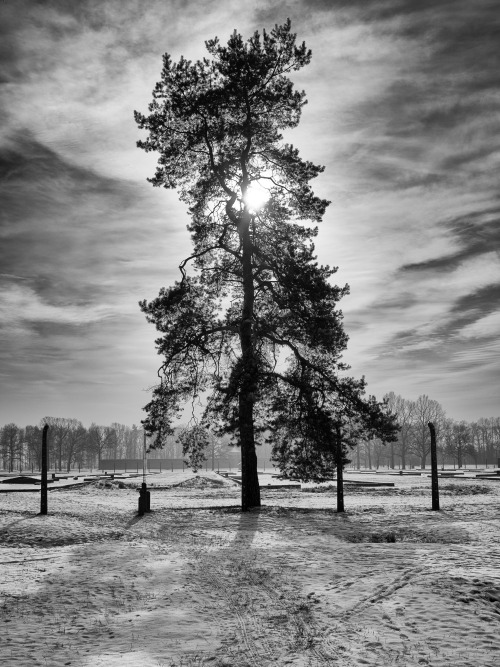 Auschwitz | Concentration and extermination campDay of Liberation: 27.01.1945