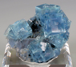 Mineralists:  Deep Blue Phantomed Fluorite With Pyrite Sits Atop Of A Sparkling Drusy