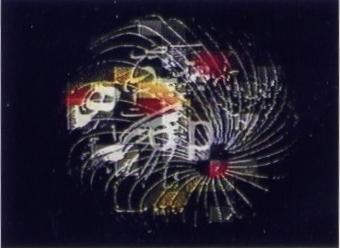 sirilaf:  Survival Signs (1998), Mounir Fatmi 