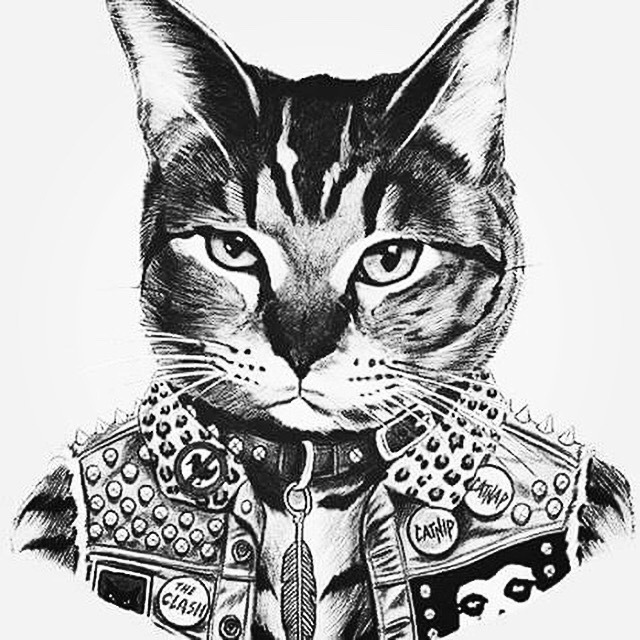 ig-86-ska:Kitty punk.