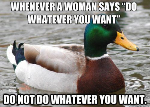 acquiesce-cronabunny:  sinkinlikestones:  moriartygodofmischief:  This duck is a fucking genius   Women understand women and they hate each other.  That last one is the best. I’m not even kidding. 