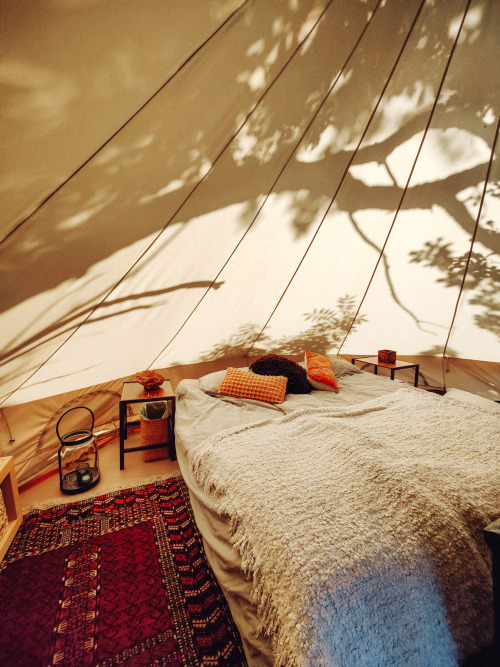 Sun silhouettes on the canvas tent. säng på björkholmens glamping