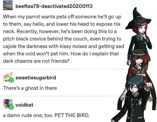 Tumblr media