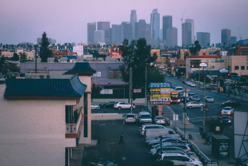 matthewgrantanson: Blueberry Muffin, Los Angeles – December 16th, 2017 Instagram: @matthewgran