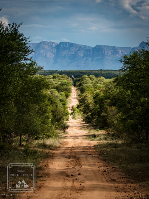 fentonphoto:  Looking down the road towards the distant mountains in Greater Kruger National Park.  