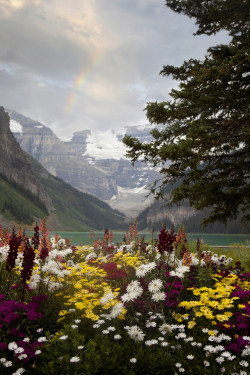 wonderous-world:  Lake Louise, Alberta, Canada by Shauna Kenworthy 