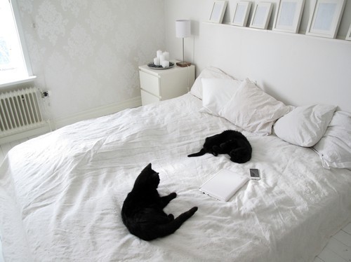 akslagor:Czymś takim trzeba się podzielić @WeHeartIt http://weheartit.com/entry/166447357/via/marritvdb