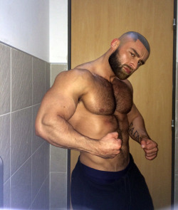 LA SAGAT DE FRANCOIS SAGAT