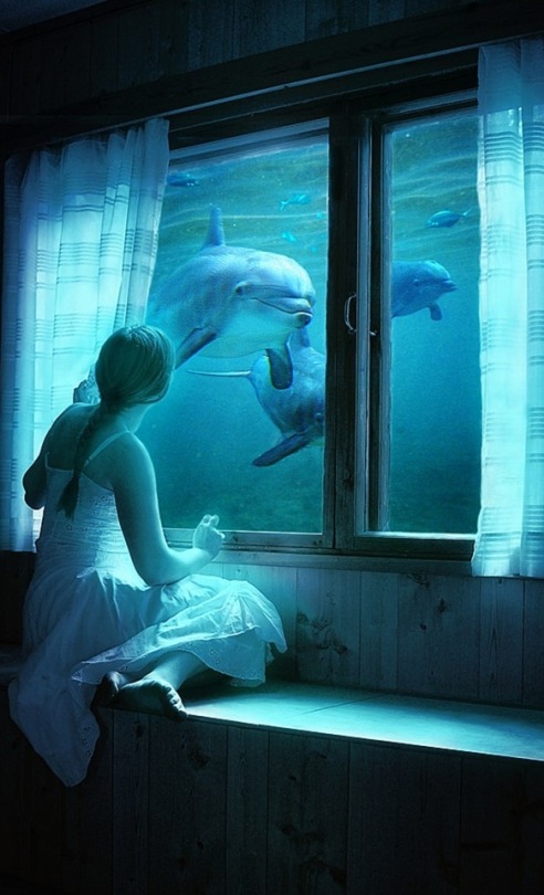 arnold-ziffel:  Never stop dreaming…