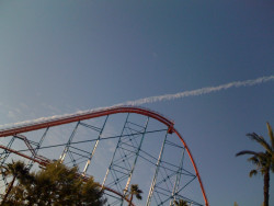 livershit:  those rollercoaster goers got