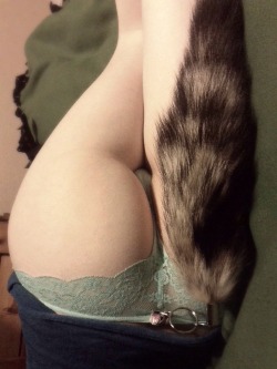 taylorr-moon:  I love my fox tail.♡ 