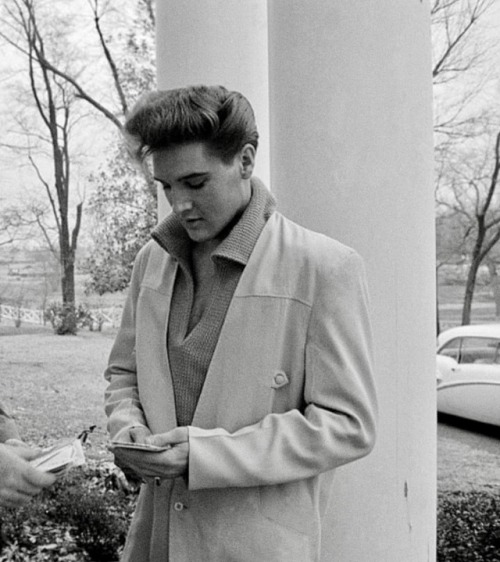 elvis-pink-cadillac:  ♢♢♢♢