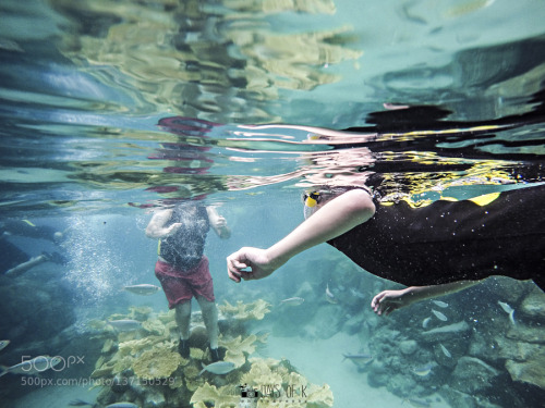 o-c-e-a-n-city: lifeunderthewaves: Underwater Adventure by DaysofK A boy’s first time explorin