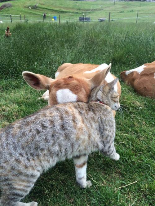 spacebuns:ohhhhh my goodness ohhhhhhhhhhhh my god ohhhhhhhhh wooooowwwweeeee