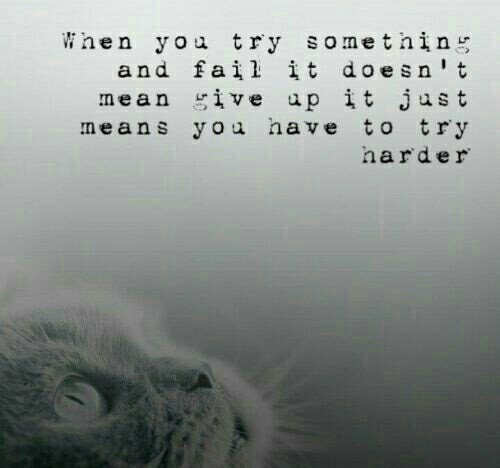 wanderlust