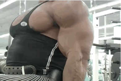MUSCLE CORPS
