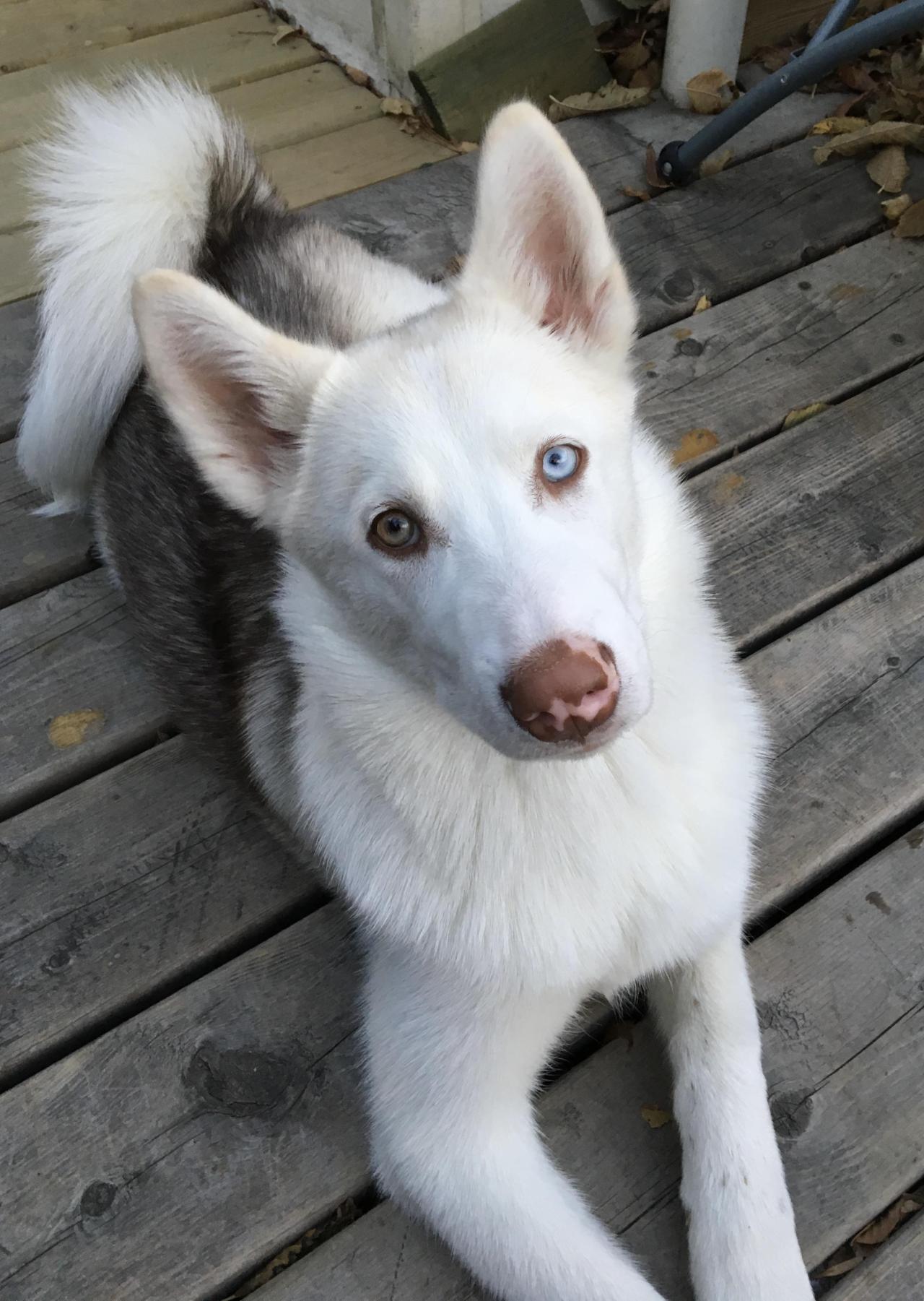 Her nose is so cute!