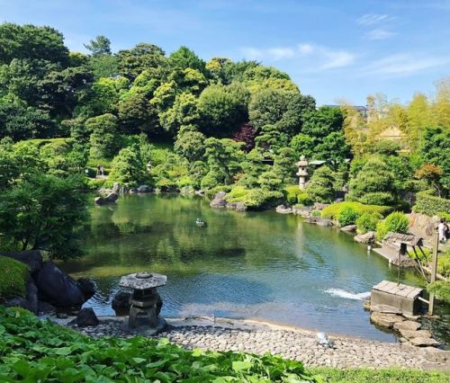 ＼庭園特別公開情報：今週末！／ 東京都大田区の『池上本門寺』の庭園“松涛園”の一般公開が9月5日(木)～8日(日)まで開催中。 #小堀遠州 により作庭されたと伝わる #池泉回遊式庭園 は通常非公開です