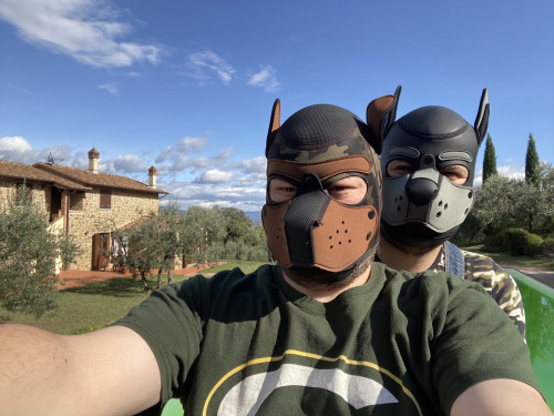 rubberdogscologne - This is Hardcore