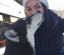 Up In Whistler Snowshoeing Today With My Friends. Met This Adorable Husky Up The