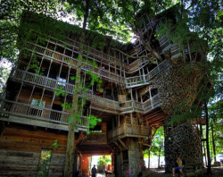 sixpenceee:    Horace Burgess’s Treehouse     It took Horace Burgess 14 years of construction to build this 30 meter high tree house. It’s located in Tennessee. The tree house was closed by the state in 2012 for fire code violations.  (Source 1, Source