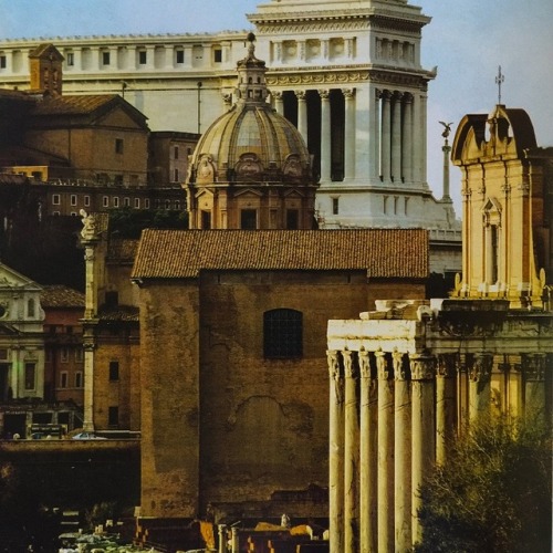 historyoftheancientworld: A window to the past…Forum Romanum in Rome…