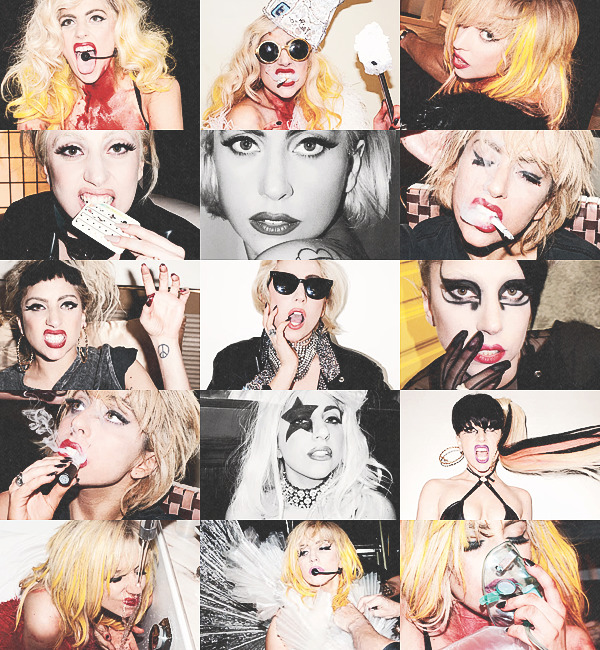  Gaga x Terry     