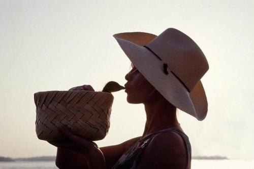 cozylifeeling: welovebrigittebardot: Brigitte Bardot photographed by Ghislain Dussart in Mexico, 196