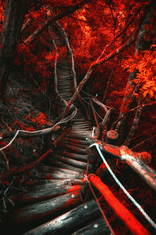 drxgonfly:  The Abandoned Path (by Hanson