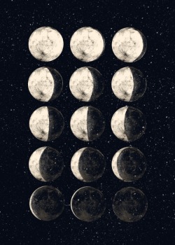 bestof-society6:    moon cycle by James White